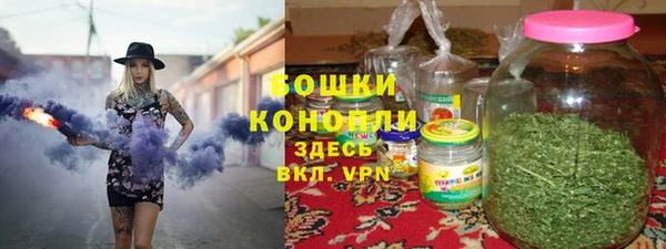 соль ск Бронницы
